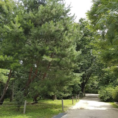 Parkın güzel manzarası