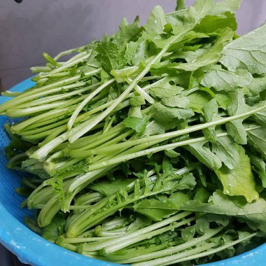 Pazarda taze yeşil yapraklar