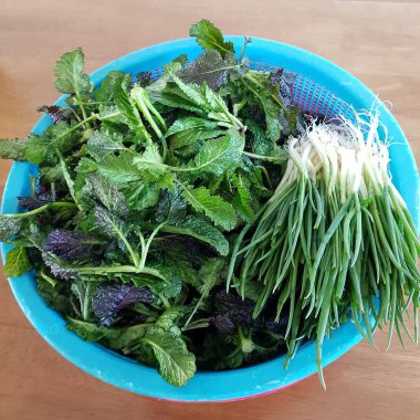 Taze otlu yeşil salata