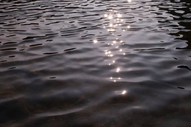 Su yüzeyi, dalgalar ve dalgalar