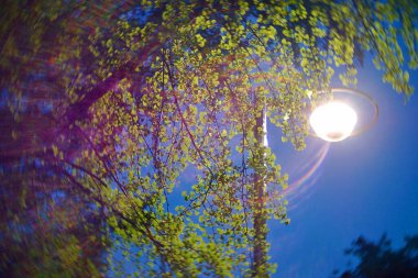 Parkın güzel manzarası