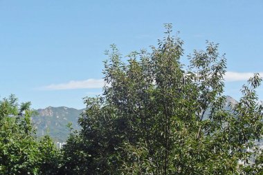 Barselona şehrinin manzarası