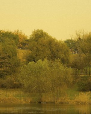 açık hava manzarasının resimsel görüntüsü