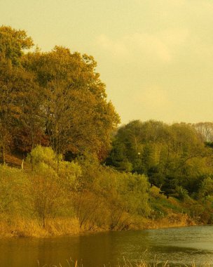 Nehir ve gölü olan güzel bir manzara.