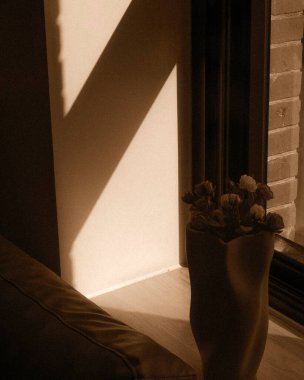 Güzel botanik fotoğrafı, doğal duvar kağıdı.