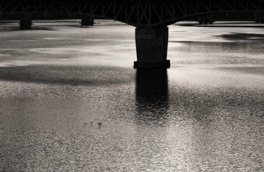 Şehirdeki bir nehrin siyah beyaz fotoğrafı