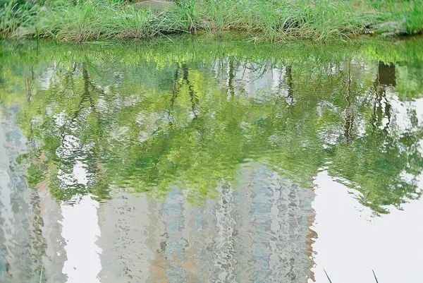 Ormandaki nehrin güzel manzarası