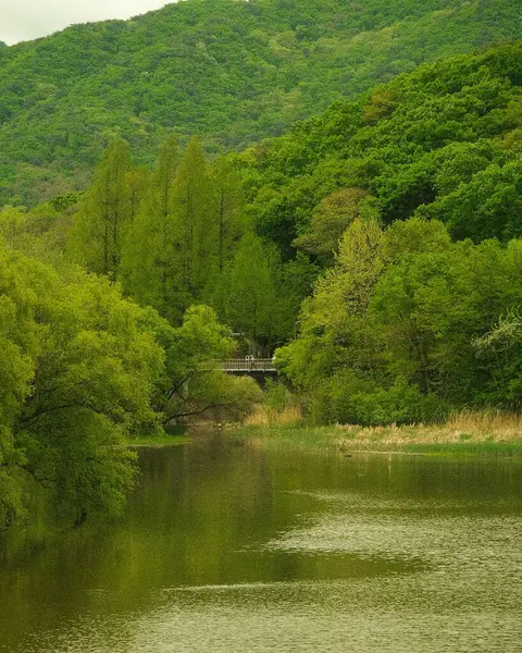 Güzel göl manzarası