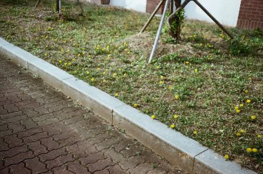 Güzel botanik fotoğrafı, doğal duvar kağıdı.