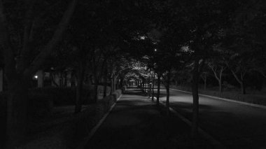 Akşamları parkın gece manzarası.
