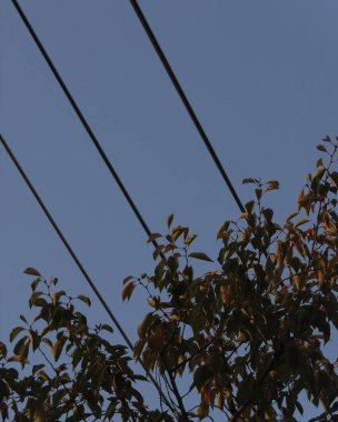 Barselona şehrinin manzarası