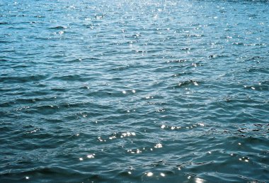 Sahildeki deniz dalgaları