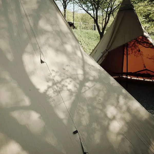 Çadırı ve ormanda ipi olan bir çadır.