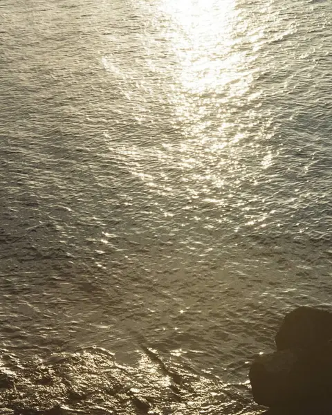 Dalgalar ve köpükler kumsalda