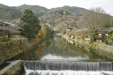 Renkli ağaçlarla dolu güzel sonbahar manzarası