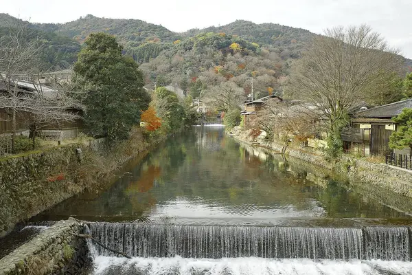 Renkli ağaçlarla dolu güzel sonbahar manzarası