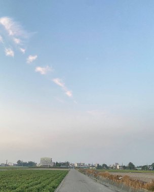 Parkın güzel manzarası