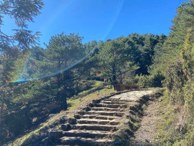 Parktaki merdivenler.