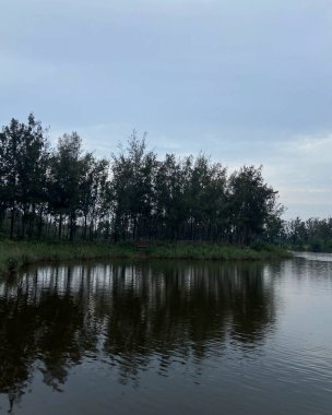 Nehir ve gölü olan güzel bir manzara.