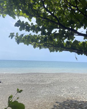 Güzel deniz manzarası