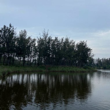 Parktaki gölün güzel manzarası