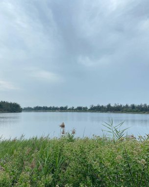 Arkasında bir göl olan güzel bir manzara.