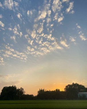 Tarlanın üzerinde güzel bir gün batımı