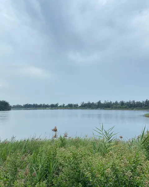 Nehir ve gölü olan güzel bir manzara.