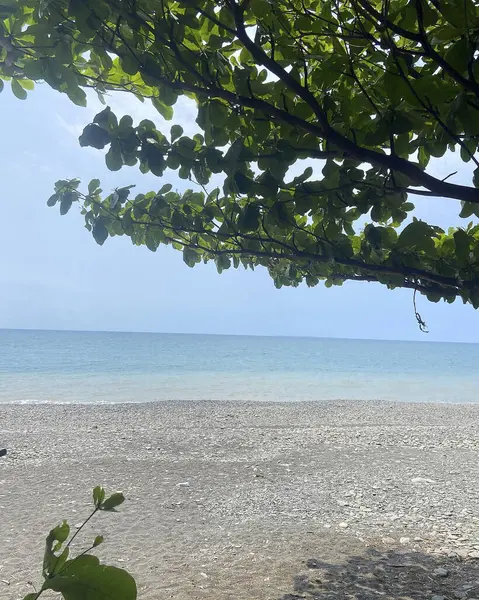 Güzel deniz manzarası