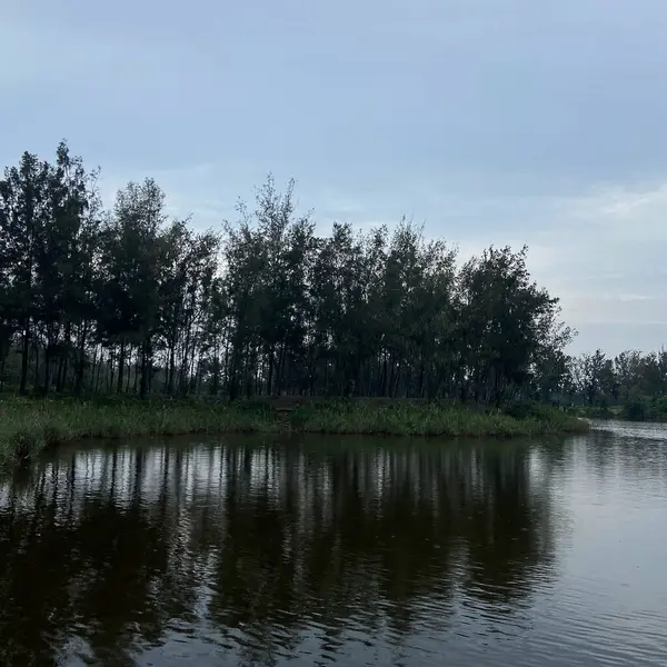 Parktaki gölün güzel manzarası