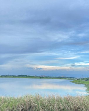 Arkasında bir göl olan güzel bir manzara.