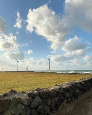 Kumsalda rüzgar türbinleri ve yel değirmenleri
