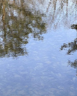 Dağlardaki güzel göl manzarası