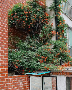 Barselona şehrinin manzarası