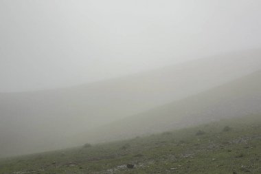 Dağlardaki sisli yeşil çimlerin manzarası