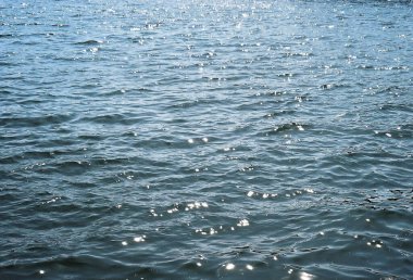 Sahilde su dalgaları