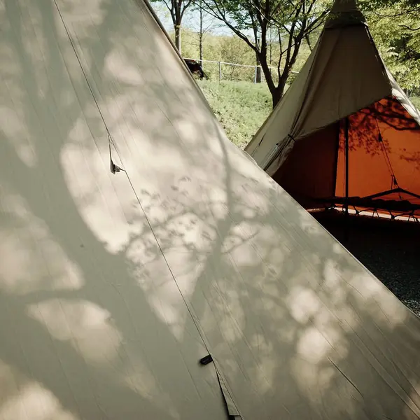 Ormanda çadırı olan bir çadır.