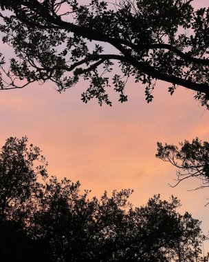 Parkta güzel bir gün batımı