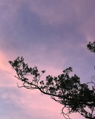 Dağlarda güzel bir gün batımı