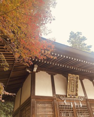 Şehrin güzel sonbahar manzarası