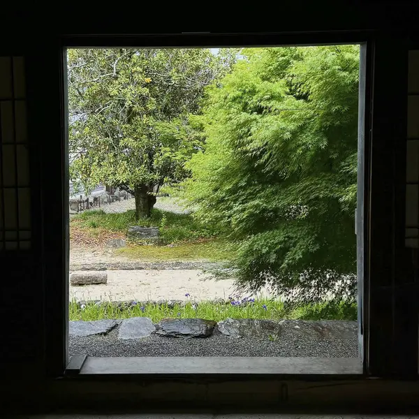 Bahçedeki eski ahşap ev