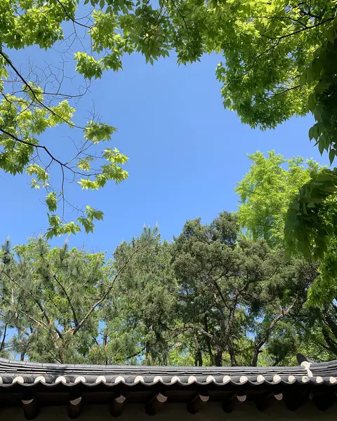 Parkın güzel manzarası