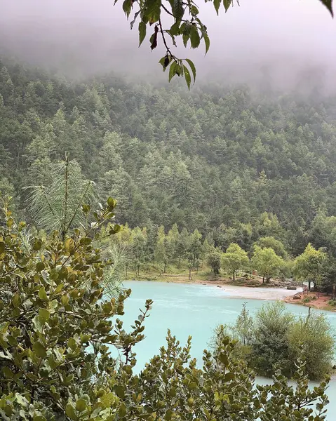 Dağlarda gölü olan güzel bir manzara.