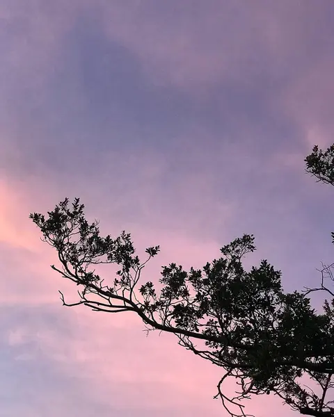 Dağlarda güzel bir gün batımı