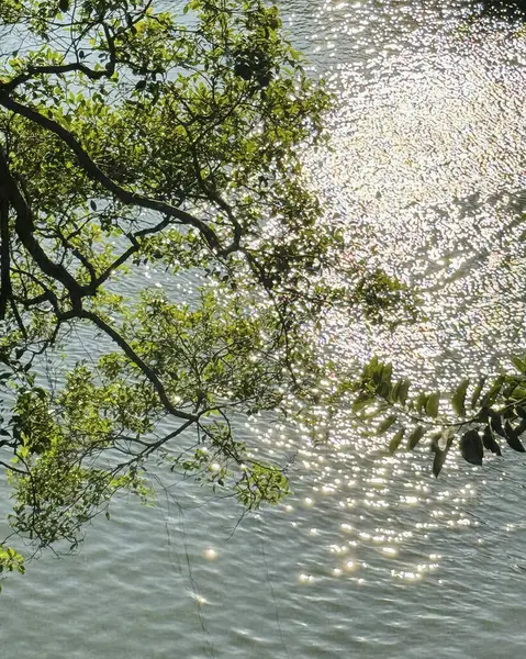 Parktaki nehrin güzel manzarası