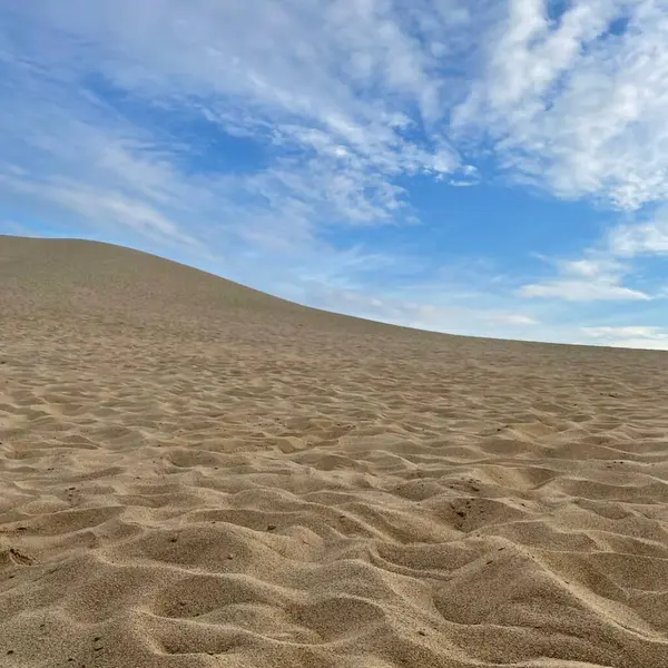 Büyük Kanarya Çölü 'nün güzel kumulları, Kanarya Adaları