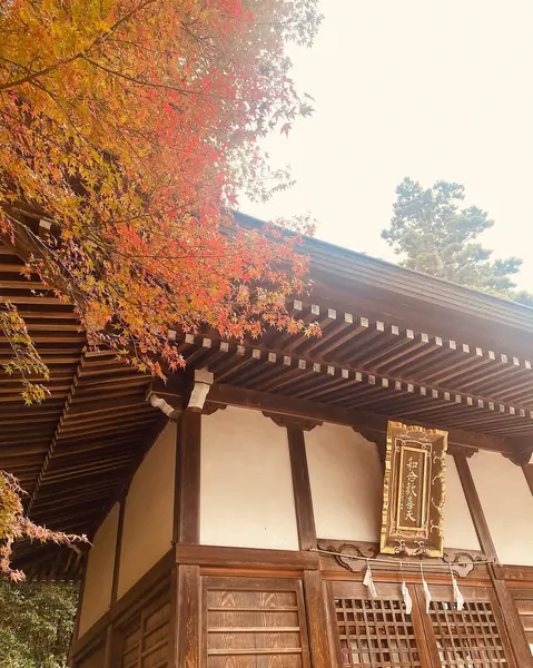 Şehrin güzel sonbahar manzarası