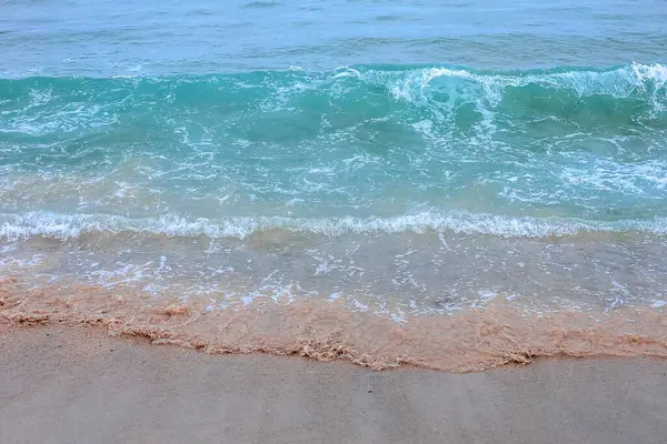 Kumsalda deniz köpüğü.