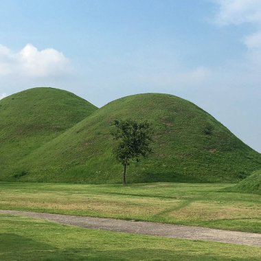 Arka planda bulutlu bir gökyüzü olan çimen tarlasının güzel manzarası.