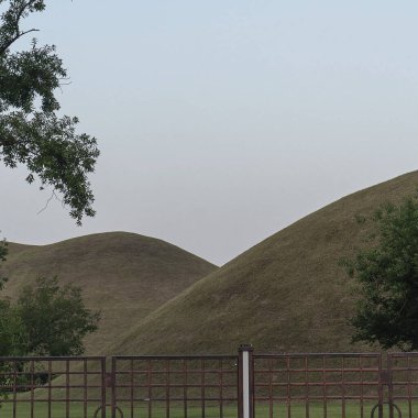 Güzel bir manzara Ağacı ve mavi gökyüzü